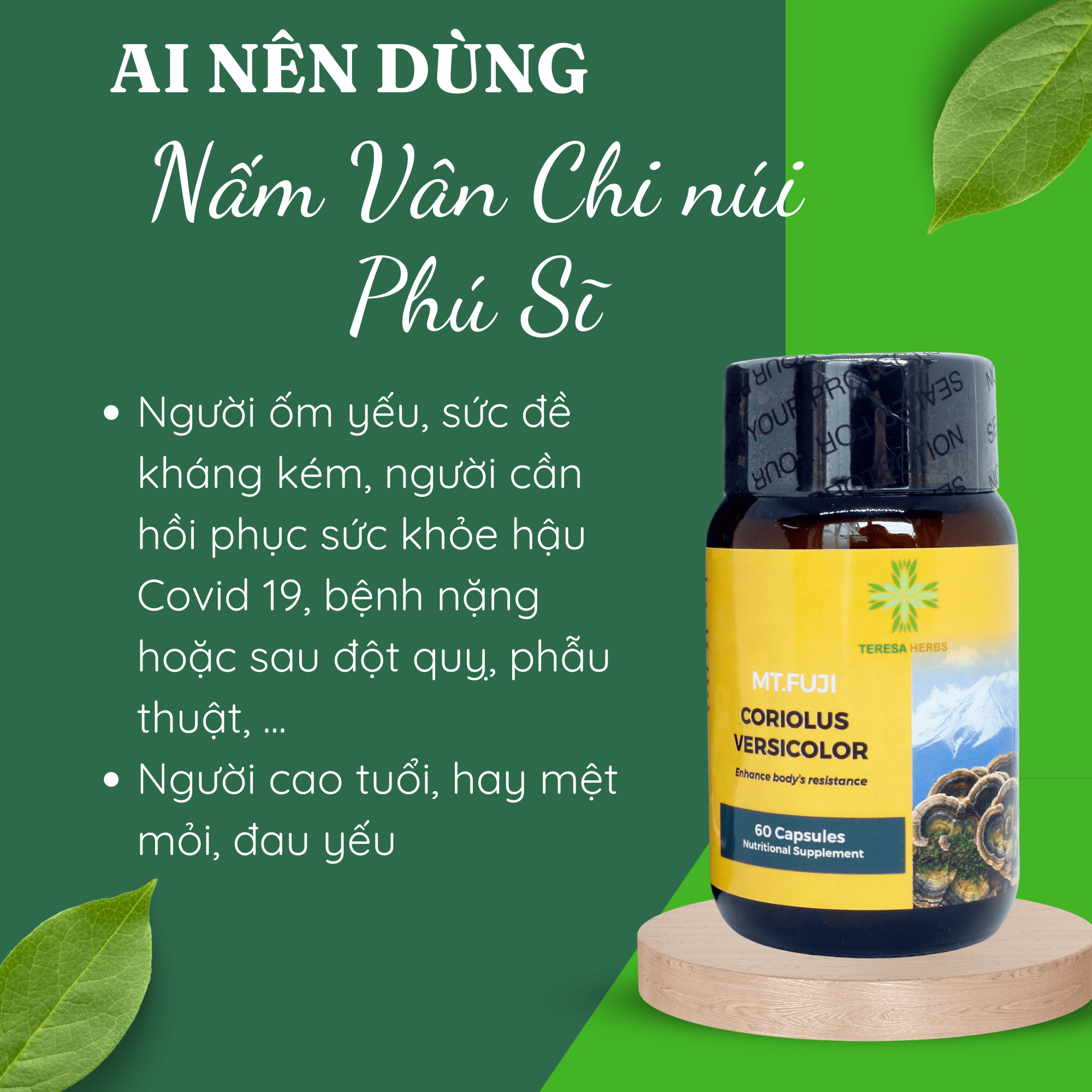 Nấm Vân Chi Núi Phú Sĩ (Made in USA) - Tăng cường sức đề kháng, hệ miễn dịch, hỗ trợ điều trị ung thư (Hộp 60 viên 500mg/ viên)