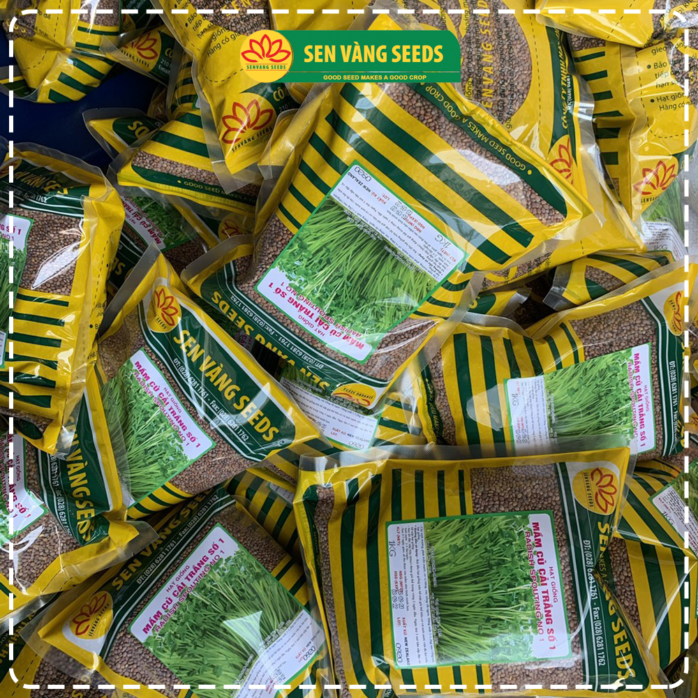 Hạt Giống Rau Mầm Củ Cải Trắng (Size Trung) - Nhập khẩu New Zealand, nảy mầm &gt;95%, siêu năng suất - HẠT GIỐNG SEN VÀNG