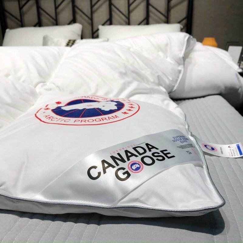 Ruột chăn lông vũ canada nhân tạo