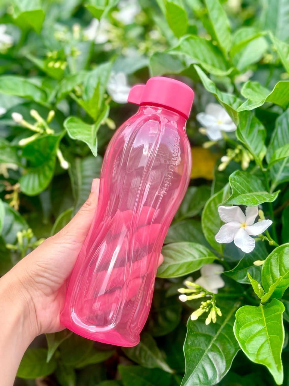 Bình nước Eco có nắp vặn 500ml