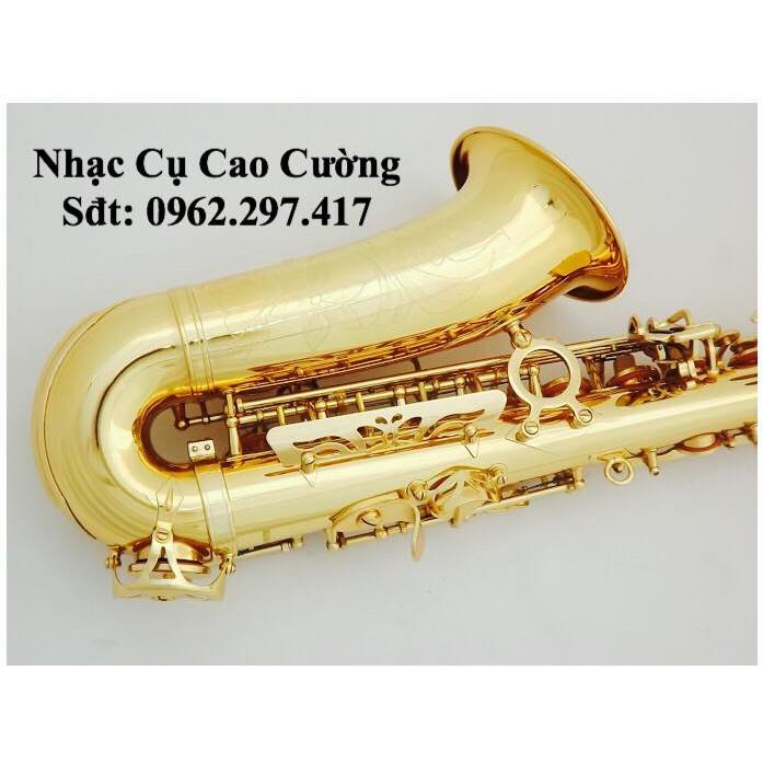 Kèn Saxophone Alto Mới, Tặng Đầy Đủ Phụ Kiện