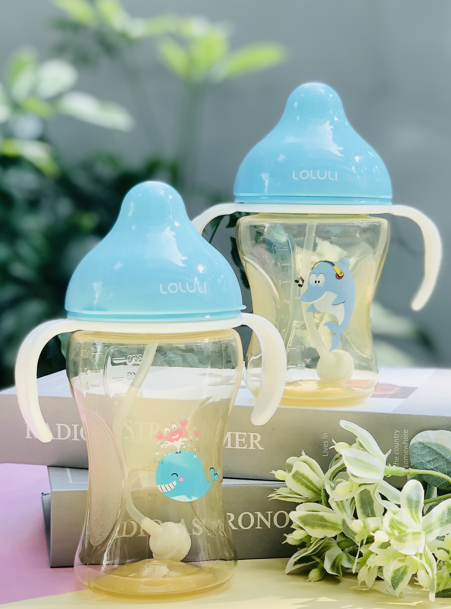 Bình Sữa Loluli PP Cổ Rộng Chống Sặc Cho Bé Chính Hãng - 210ml