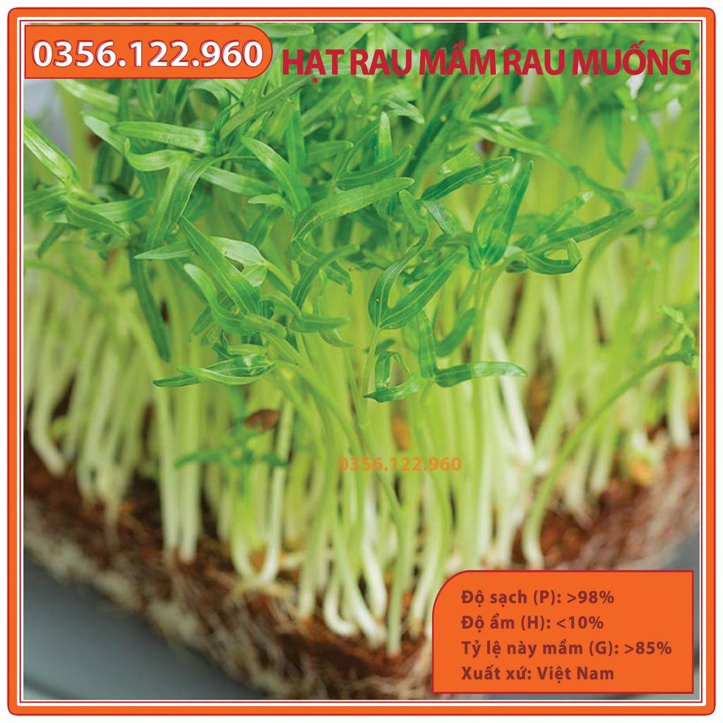 Hạt giống rau mầm rau muống tuyển chọn- gói 1kg - nảy mầm tốt, lên đồng đều