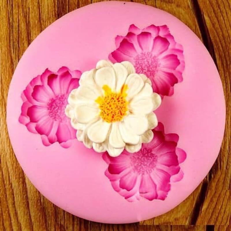 Khuôn silicon hoa đồng tiền size 9cm