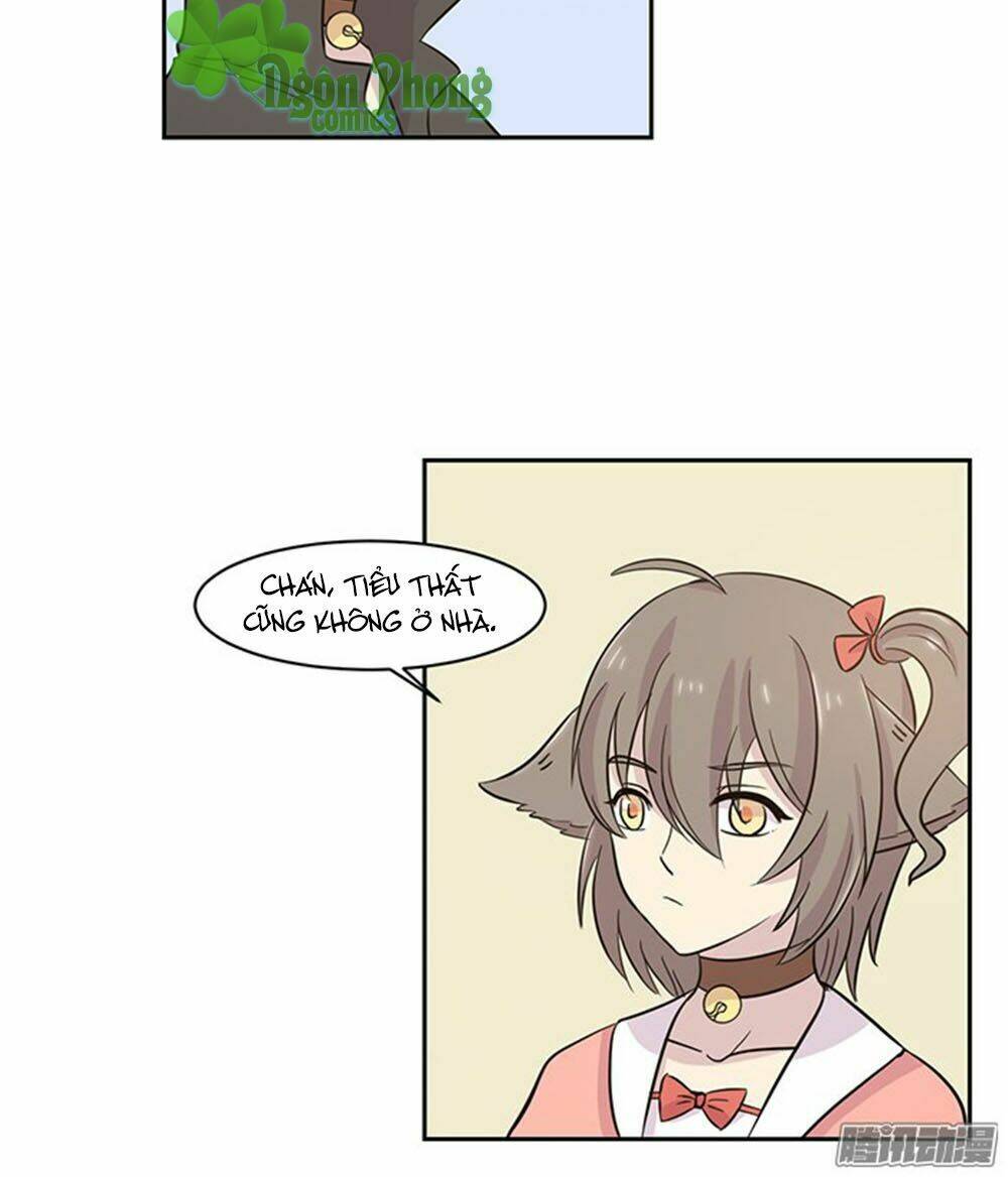 hai chú mèo totem chapter 21 9