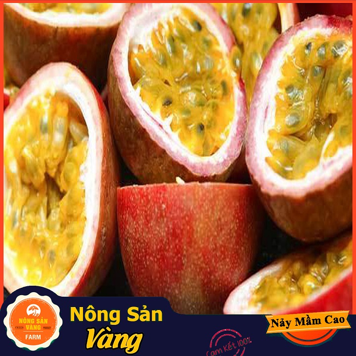 Hạt giống Chanh Dây ( Gói 50 Hạt ) - Nông Sản Vàng