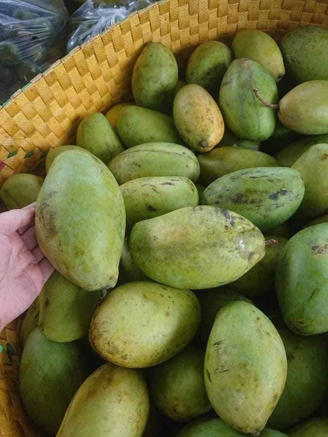 Cấy giống Xoài Keo CamPuchia. .