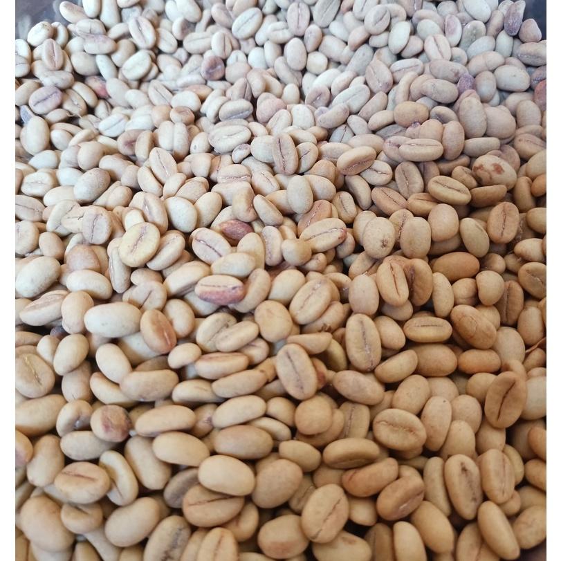 1 kg hạt giống cà phê Thiện Trường cao sản