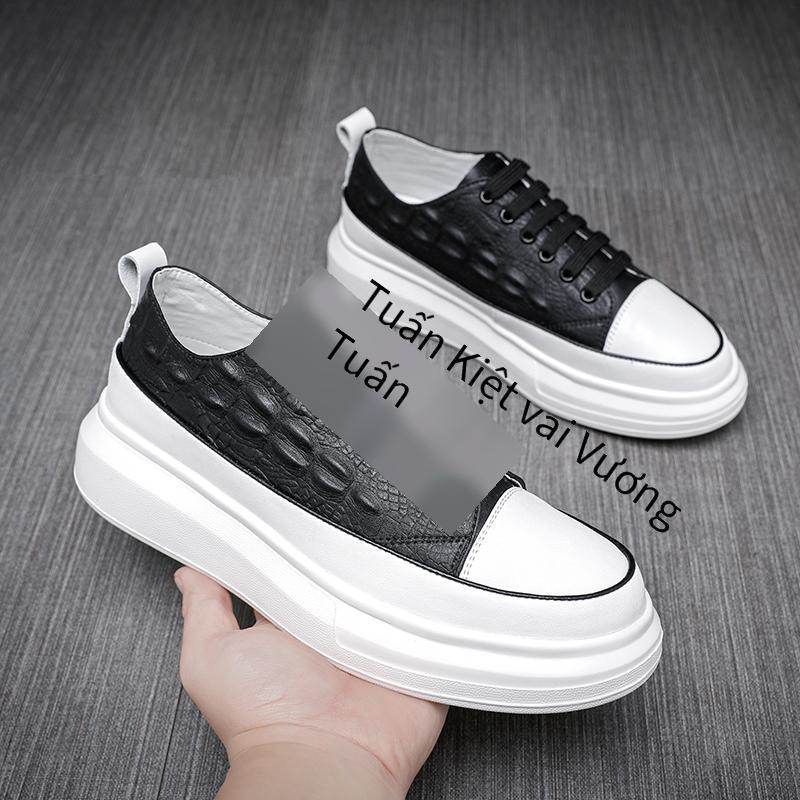 Những kiểu giày nam mới nhất trong những đôi giày hợp thời trang được đề xuất những đôi giày an toàn thuận lợi nhất những mẫu giày đầu bếp mới nhất