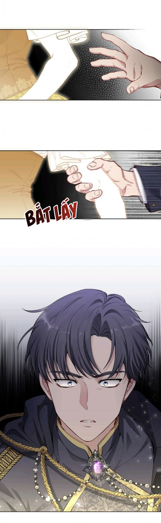 đi tìm nàng camellia chapter 0 8