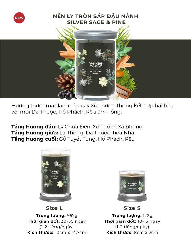 Nến ly tròn sáp đậu nành Yankee Candle size S - Silver Sage & Pine