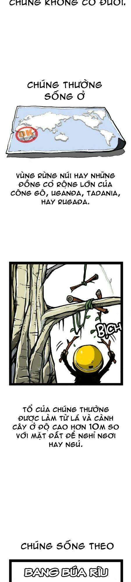 earth, human, and animal chapter 15 9