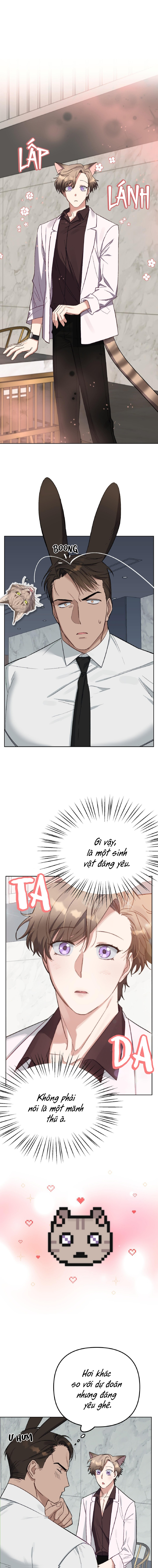 3 giây thỏ "nhỏ" đã xuất tinh rồi chapter 2 1
