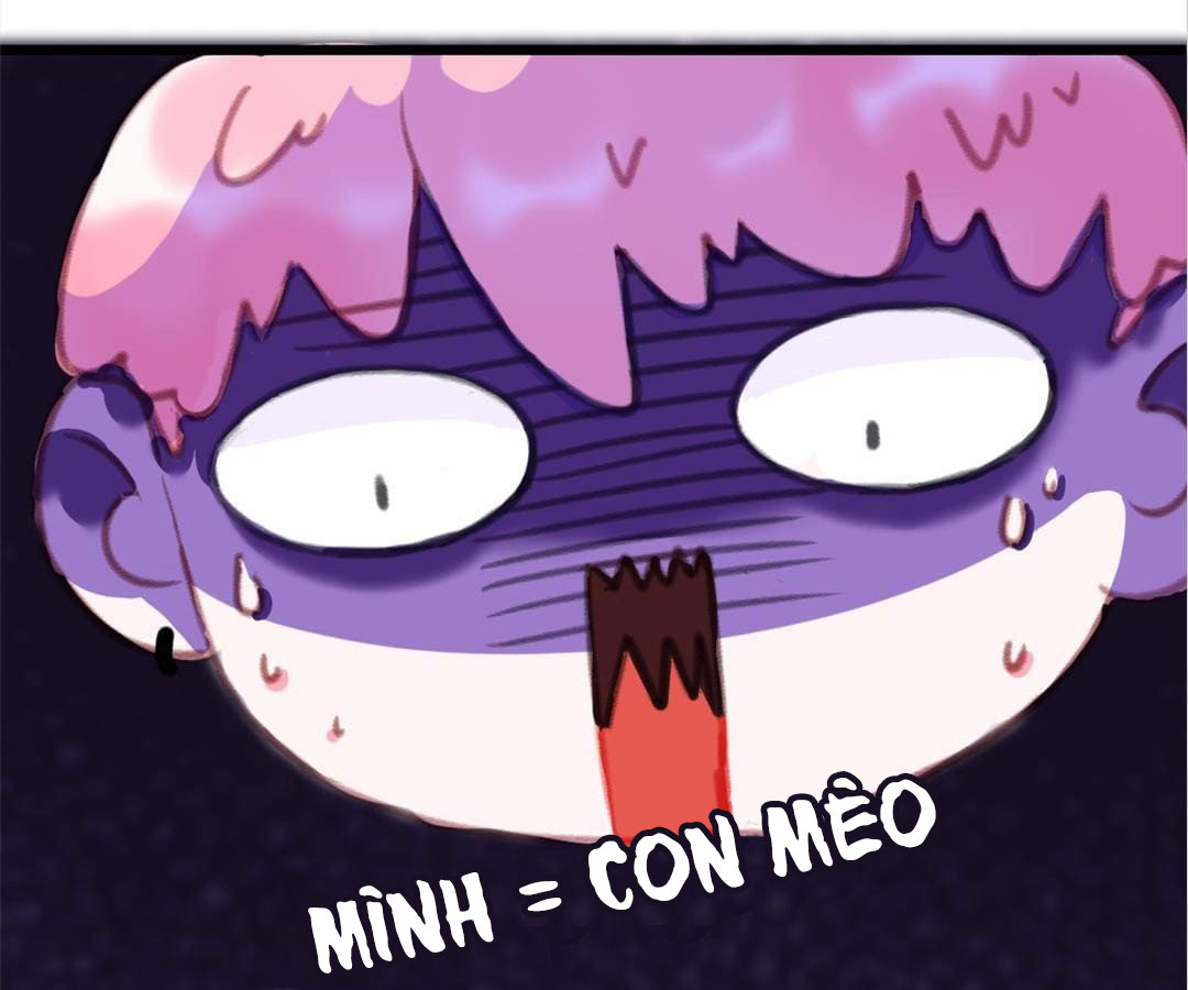 social cat chapter 1 24