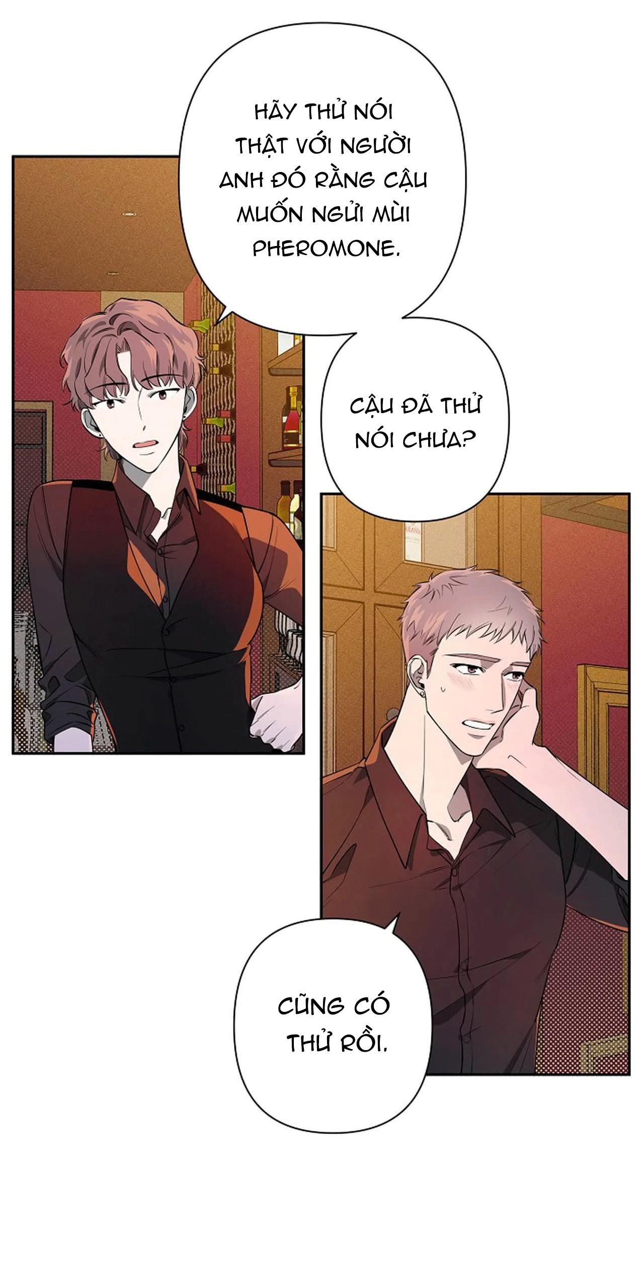 đêm dịu dàng chapter 35 46