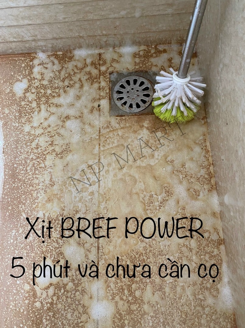 Chai xịt khử trùng nấm mốc, diệt khuẩn Bref Power 750ml - Tẩy đa năng - Hàng Đức