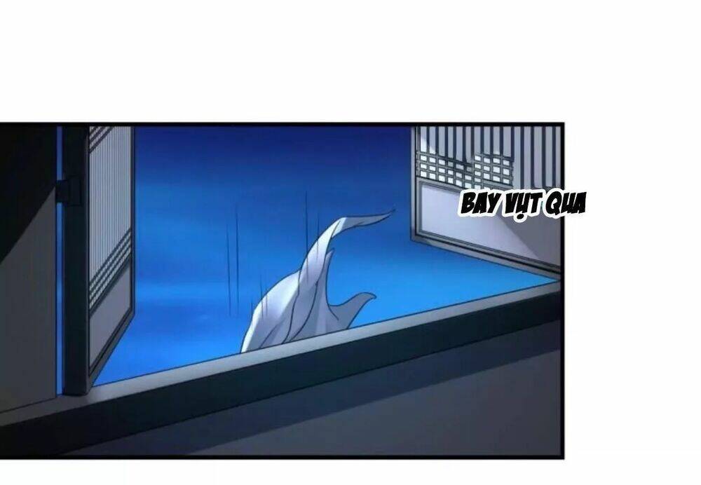 sủng phi của vương chapter 105 15