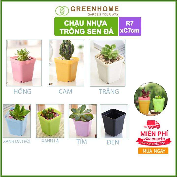 Bộ 5 Chậu nhựa trồng sen đá ,xương rồng, 7x7cm, màu sắc hiện đại