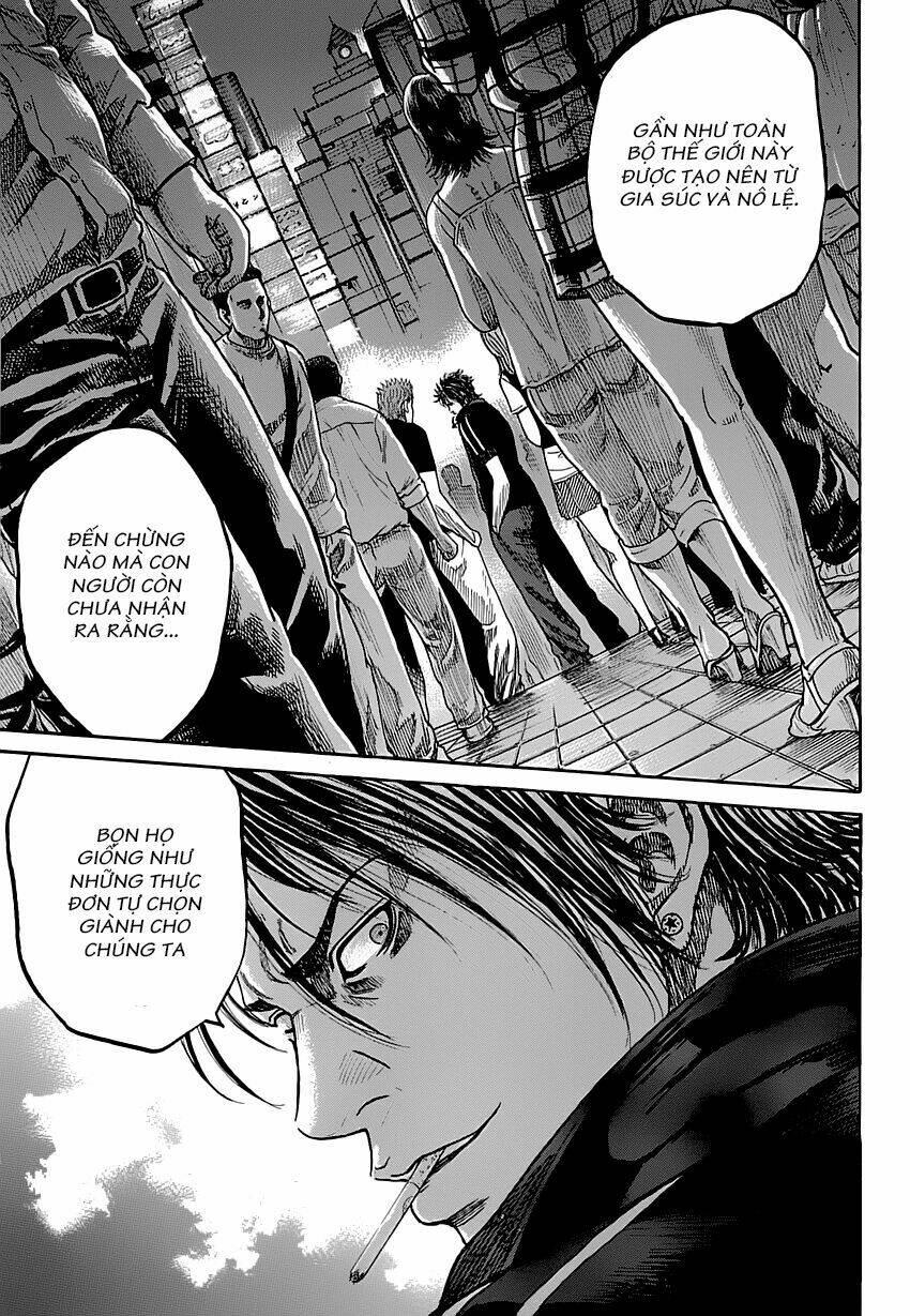 shimauma chapter 1 18