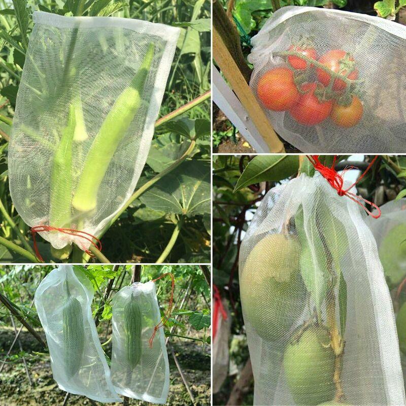 Túi lưới chống côn trùng 100 - để bảo vệ hoa và trái cây, 30 x 20 cm