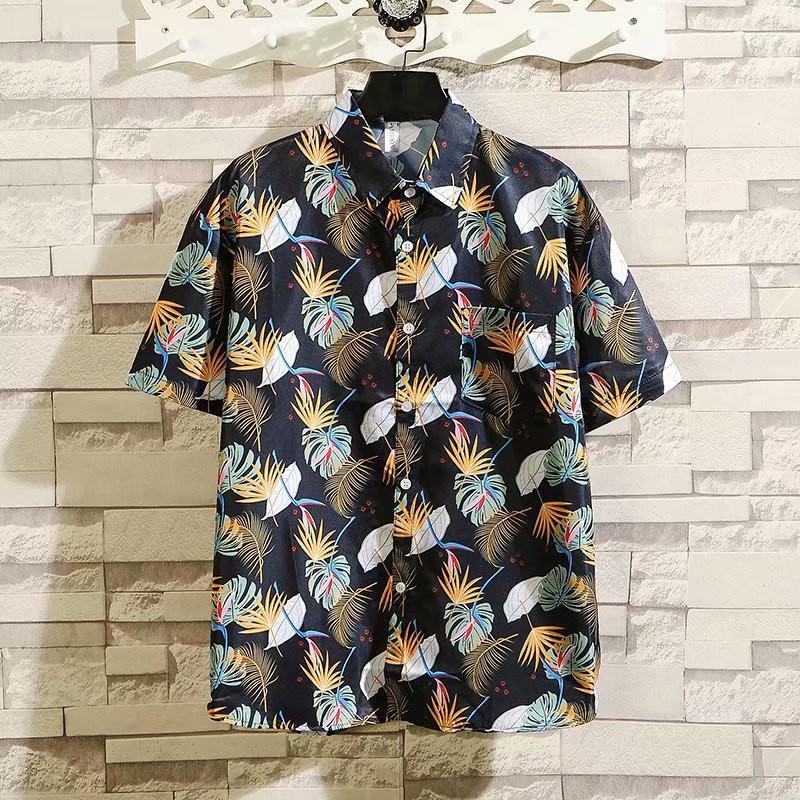 Set Đồ Mùa Hè Thời Trang Dành Cho Nam