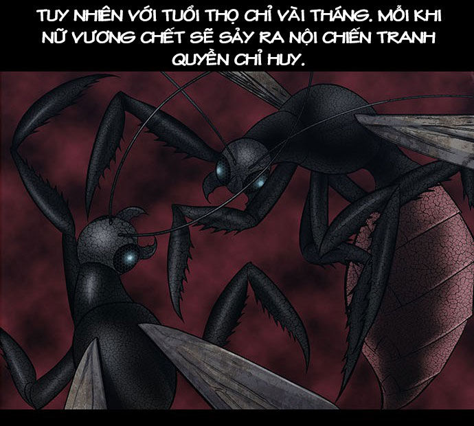 dog man (chó săn) chapter 2 48