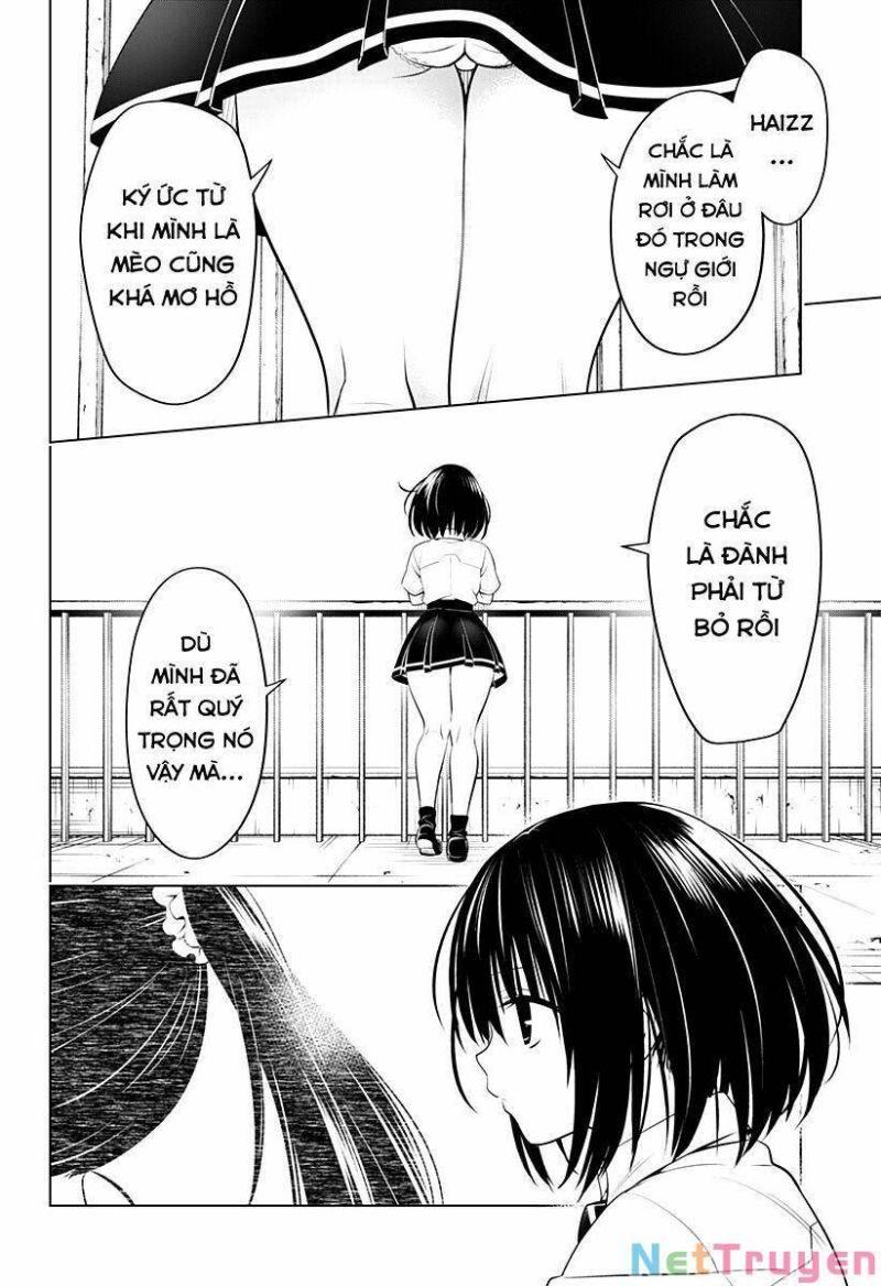 diệt quỷ nhẫn giả chapter 104 5