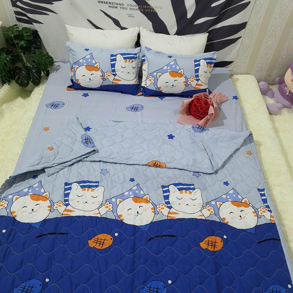 SET 4 MÓN CHĂN HÈ TRẦN BÔNG KÈM GA GỐI COTTON POLY MẪU MÈO CÁ XANH