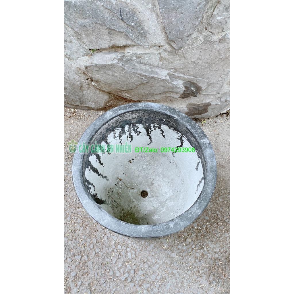 Chậu Xi Măng Trồng Cây 25*25cm