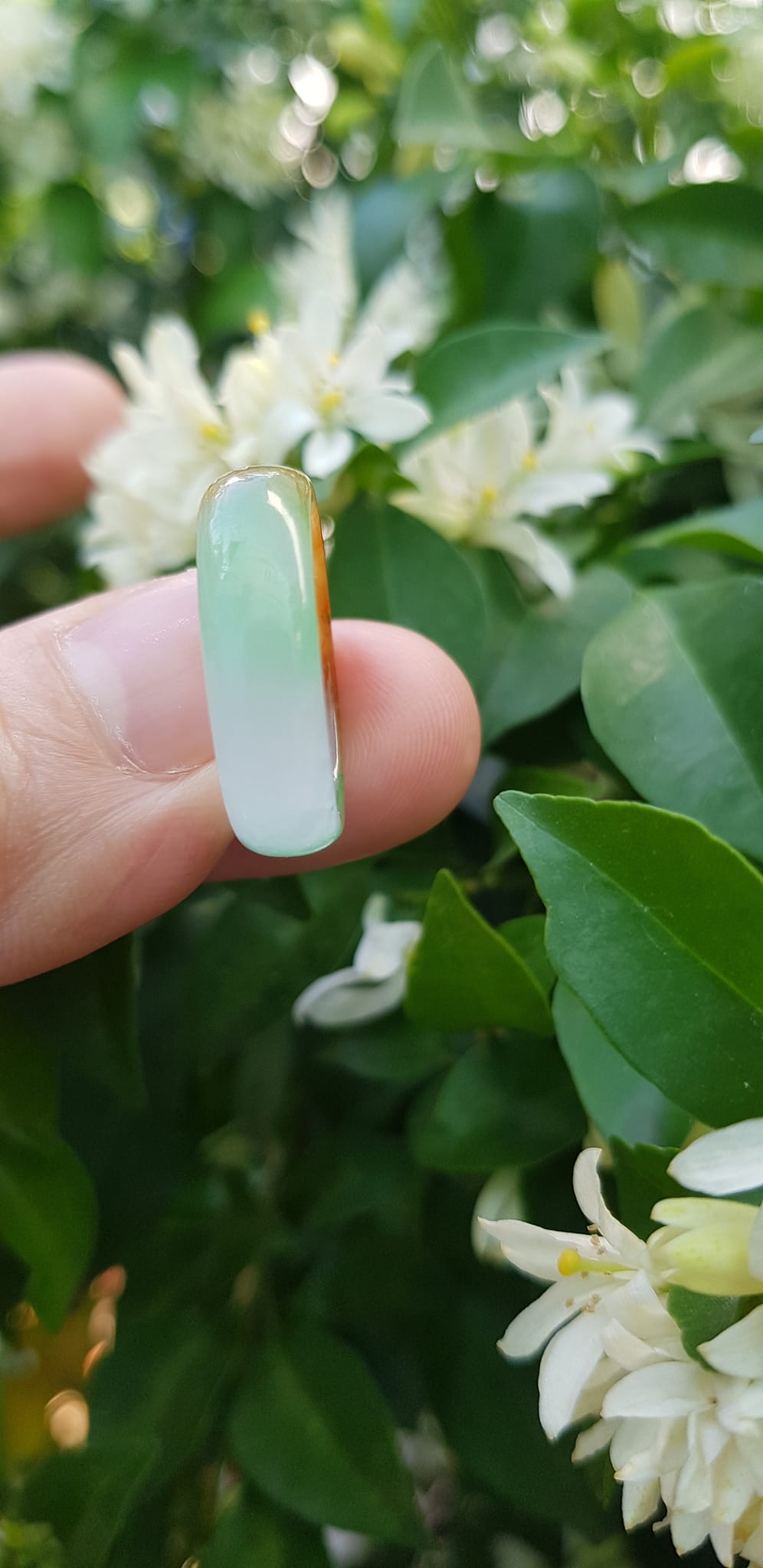 Nhẫn đeo tay nữ đá cẩm thạch tự nhiên Màu Vàng xanh trắng bóng đẹp Nhẫn Ni 17mm x cao 6mm x dầy 2,2mm ạ