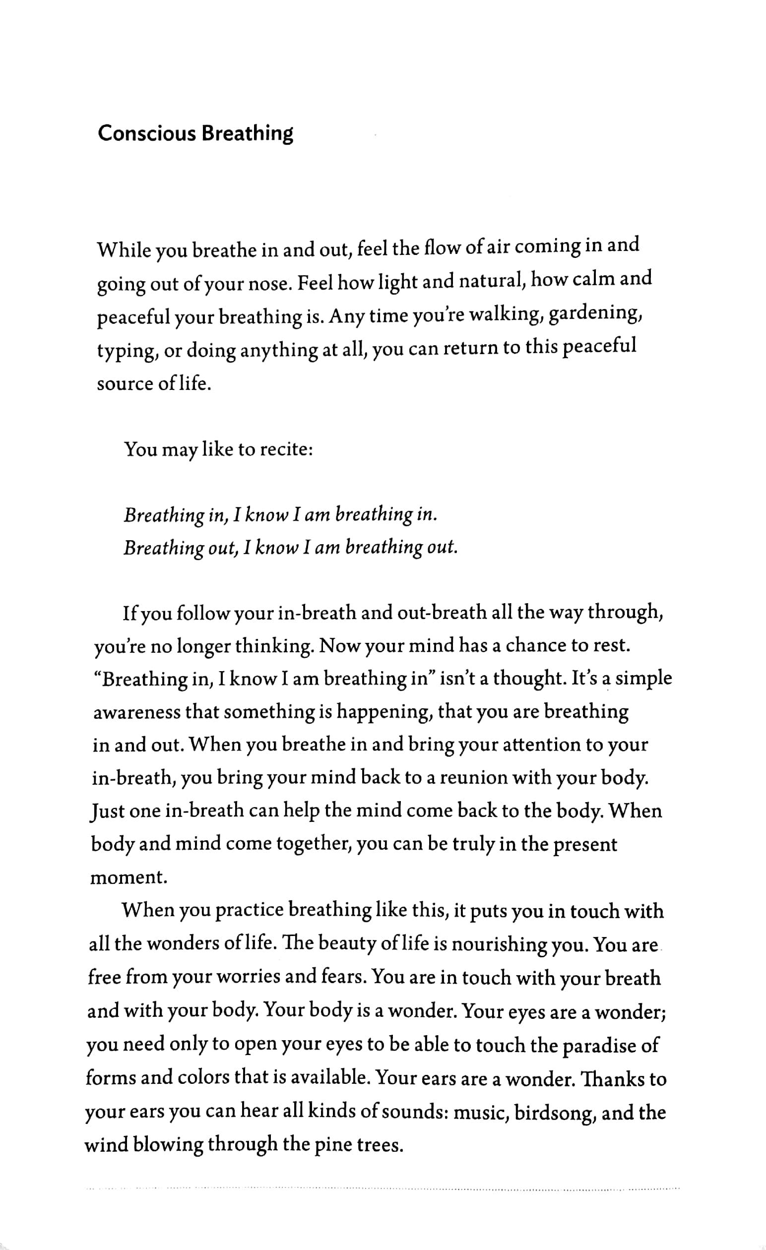 Breathe: A Thich Nhat Hanh Meditation Journal