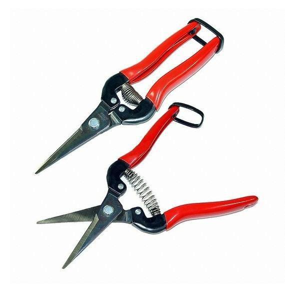 Kéo tỉa cành cán đỏ - bền đẹp giá rẻ, siêu dễ dùng