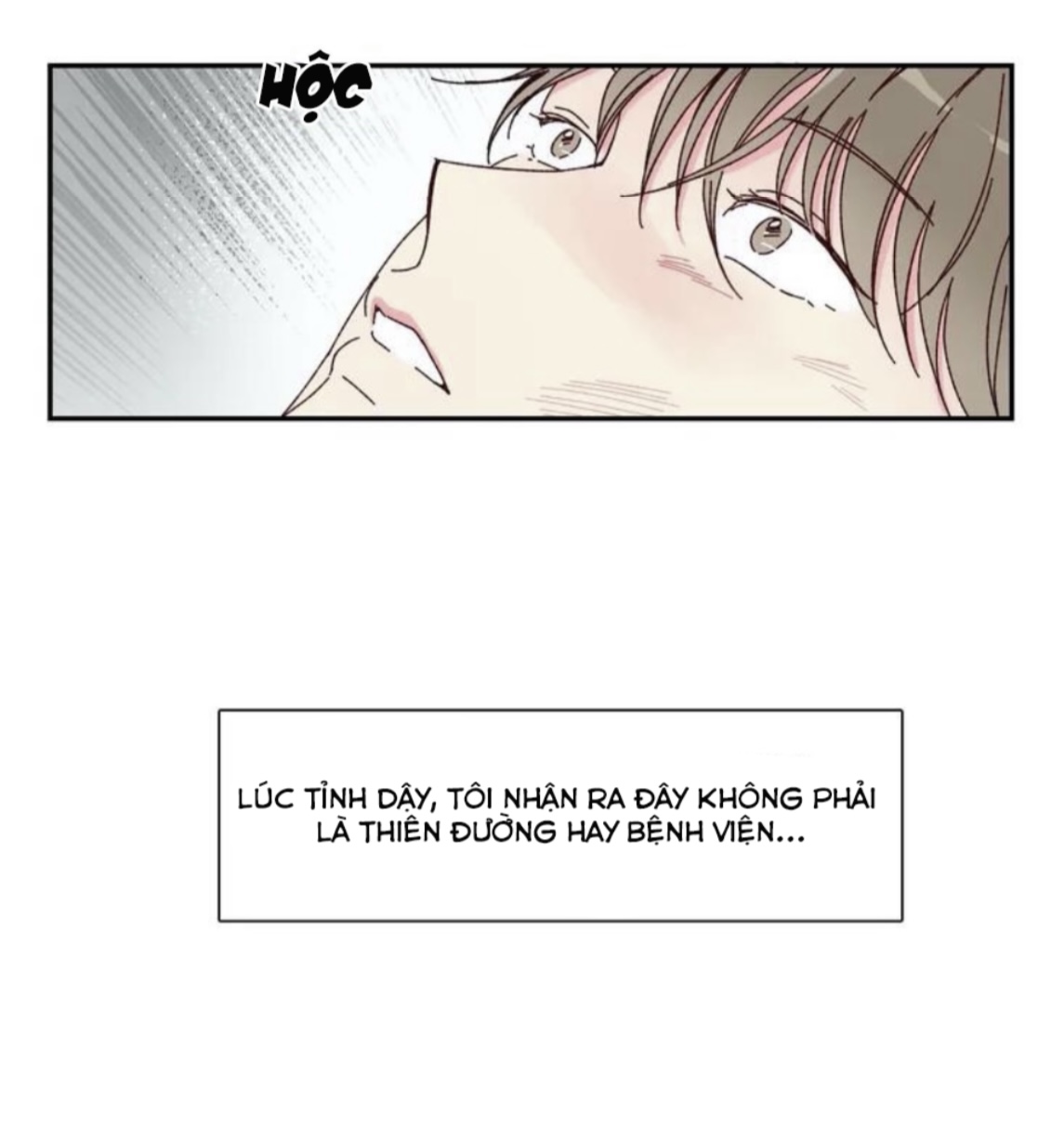 món tráng miệng của sếp tổng chapter 1 14