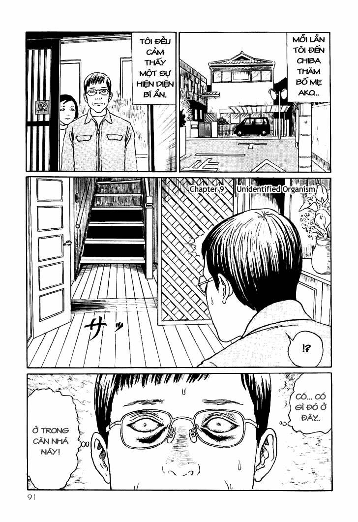 ito junji cat's diary chapter 9 1