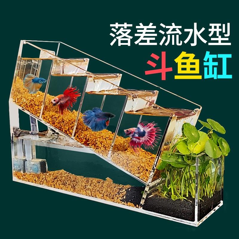 Bể Cá Sáng Tạo Bể Cá Nhỏ Acrylic Để Bàn Đa Ngăn Cách Ly Tự Tuần Hoàn Lọc Không Thay Nước