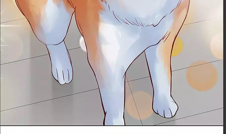 bạn trai 1/4 của tôi chapter 10 148