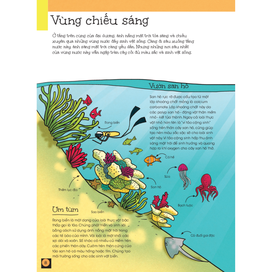 Đại Dương - Từ Vùng Chiếu Sáng Đến Vực Sâu Tăm Tối (QQTKP)