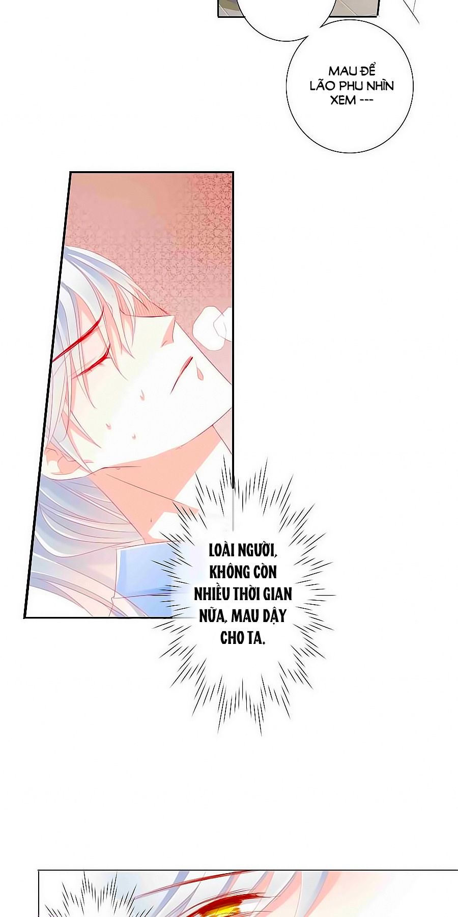 Tưởng Nhập Phi Phi chapter 46 - Trang 15