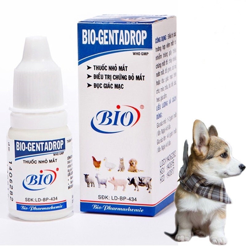 Dung Dịch Nước Nhỏ Mắt Bio-Gentadrop Cho Chó Mèo 10ml, Trị Viêm Mắt Cho Chó Mèo