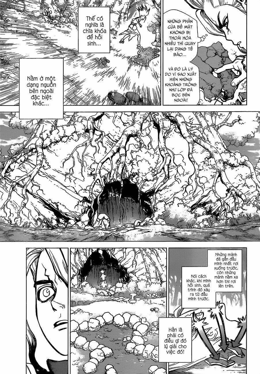 dr.stone - hồi sinh thế giới chapter 14 8