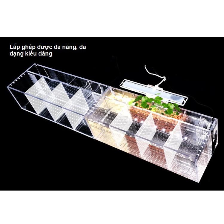 Hộp acrylic nuôi cá chọi betta 4 ngăn trong suốt