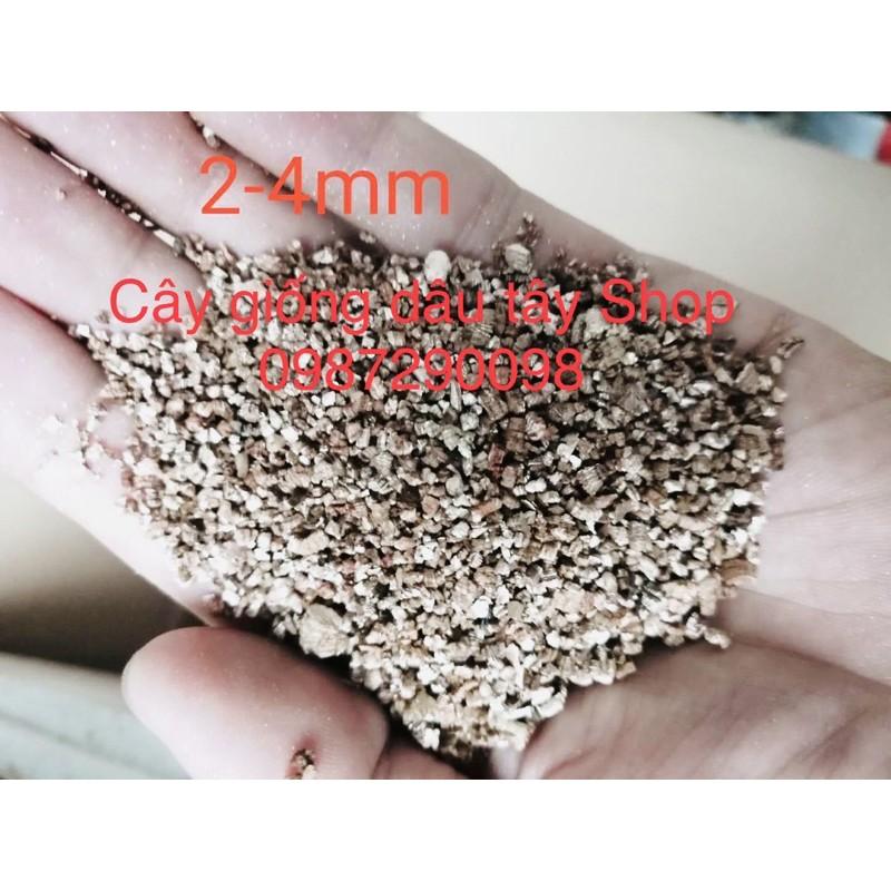 Đá Vermiculite dùng giâm cành SEN ĐÁ, HOA HỒNG, XƯƠNG RỒNG, ươm mầm hạt giống, trồng rau mầm