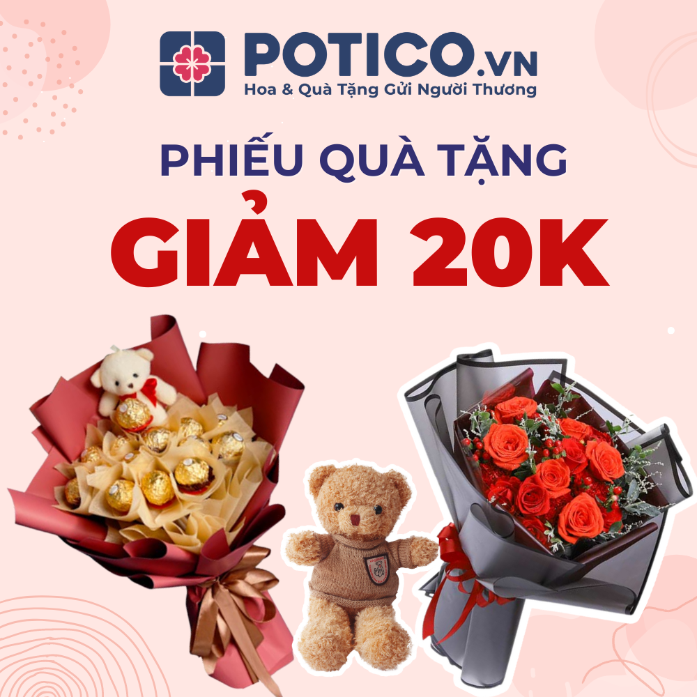 Potico.vn - Phiếu quà tặng trị giá 20K