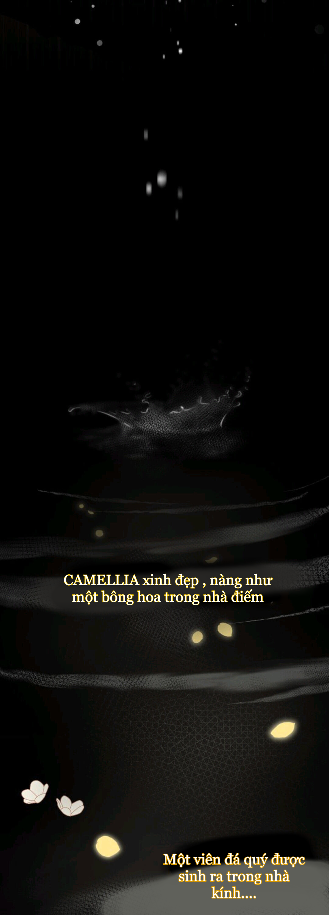 tìm kiếm camellas chapter 0.5 11