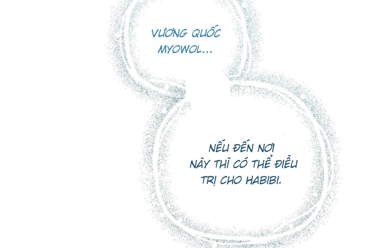 những chú thỏ của hapypy chapter 61 230