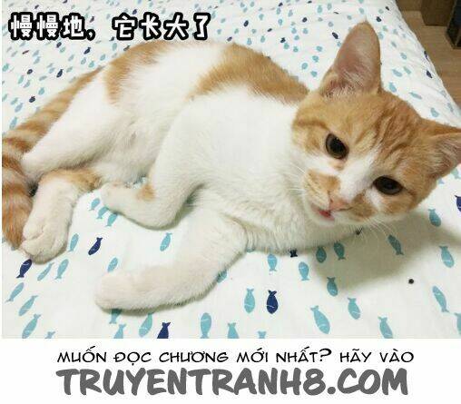 đại thánh và tiểu yêu chapter 7 13