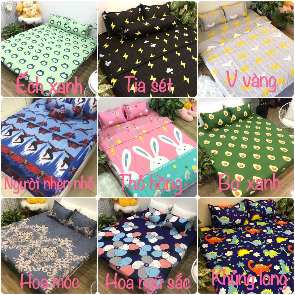 Ga trải giường,drap ga giường poly cotton,mẫu cành cúc xanh
