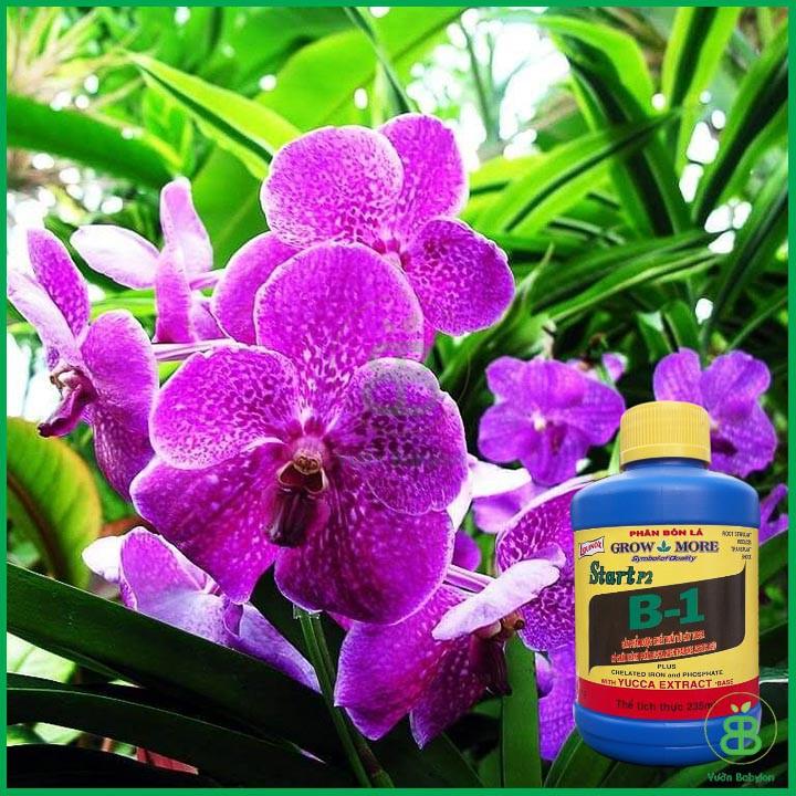 Phân Bón Lá Cao Cấp Vitamin B1 Start Của Growmore .