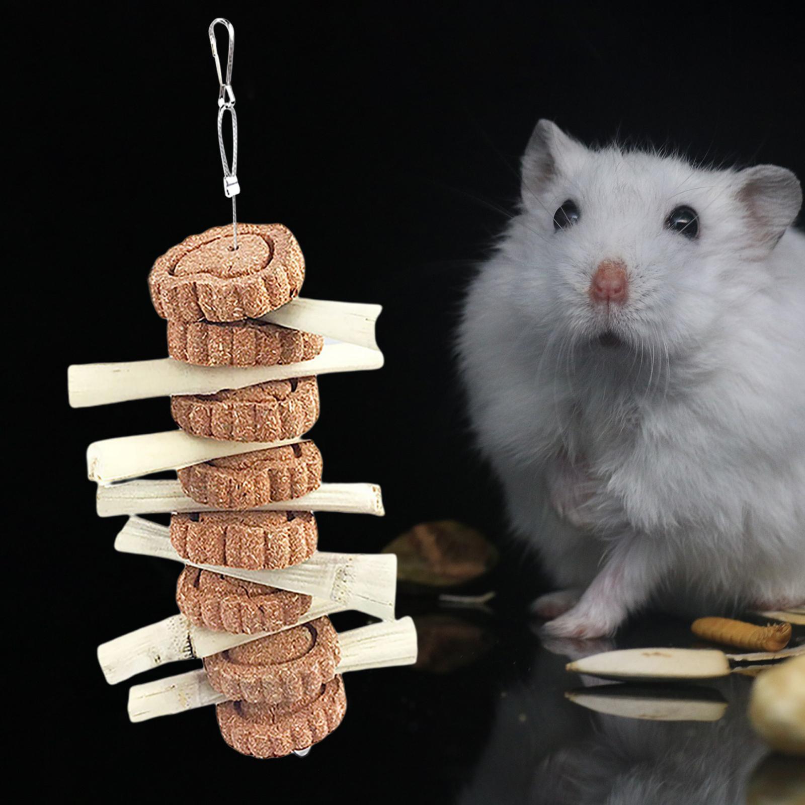 Set of 2 Guinea Pig Hamster Rabbit Chew Toy Teeth Grinding Cage Hanging