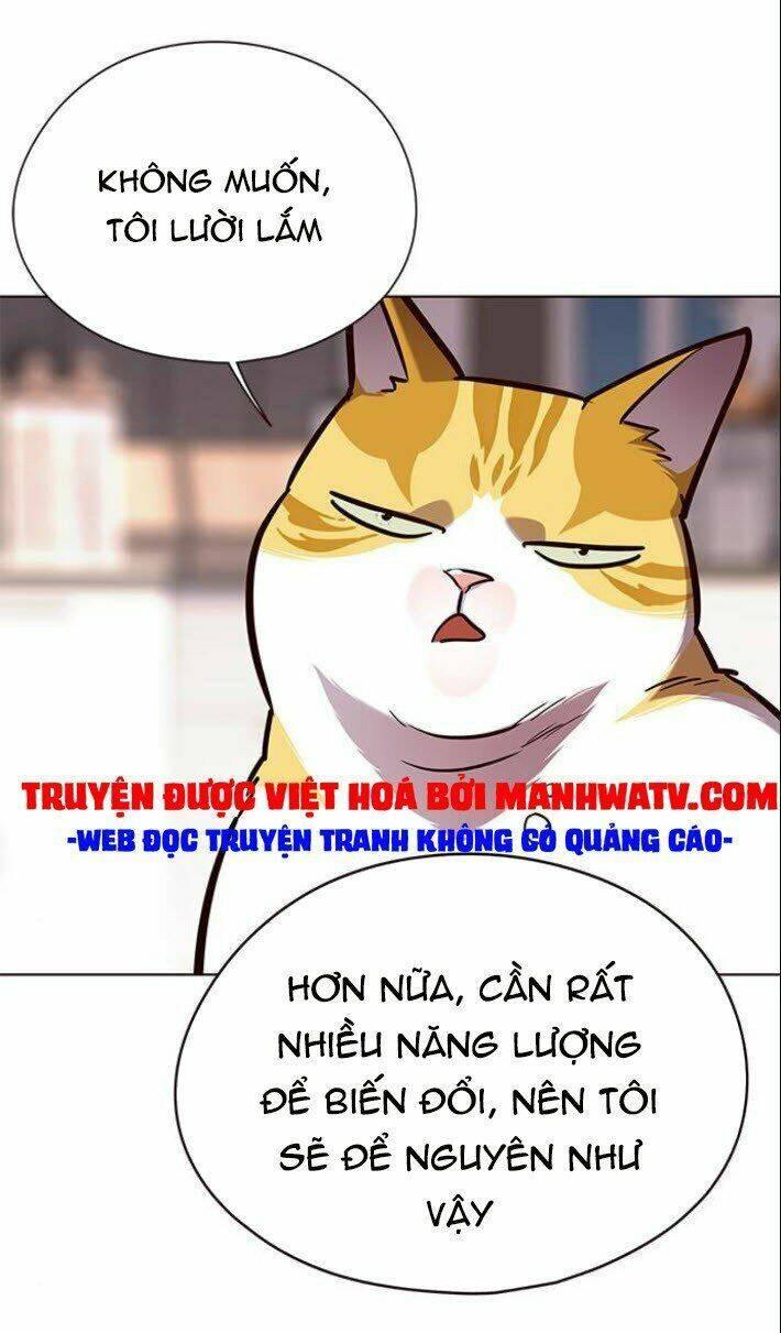 biến thân thành mèo chapter 139 19